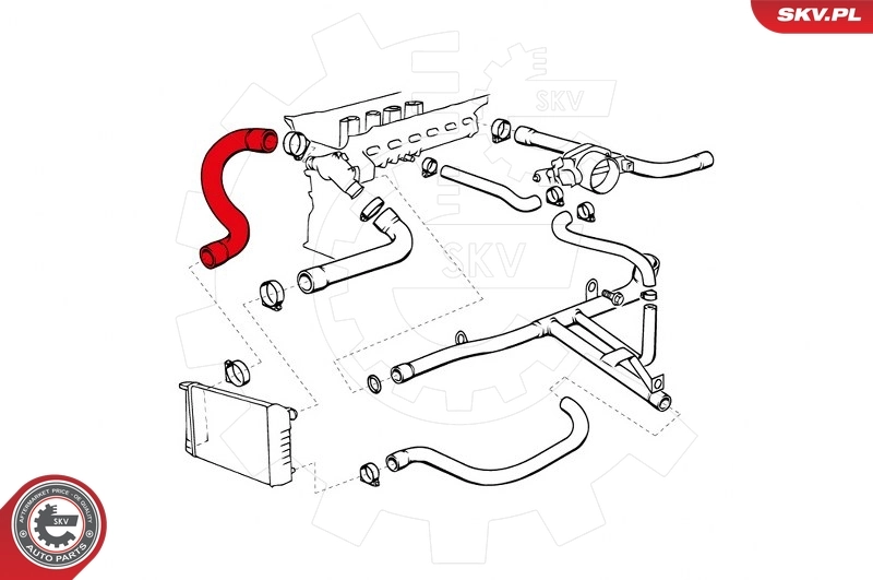 Radiator Hose 43SKV707