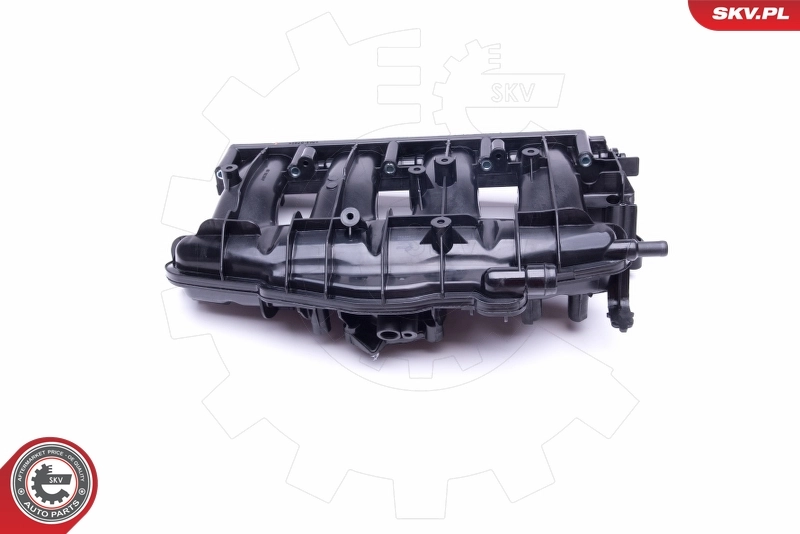 Intake Manifold Module 49SKV009