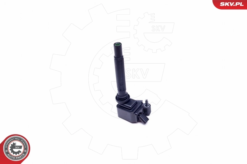 Ignition Coil 03SKV318