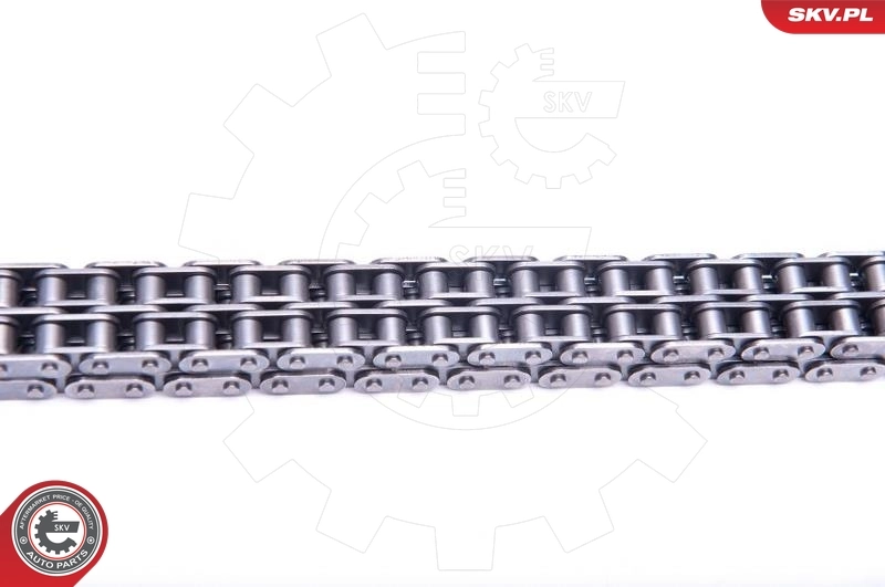 Timing Chain Kit 21SKV129