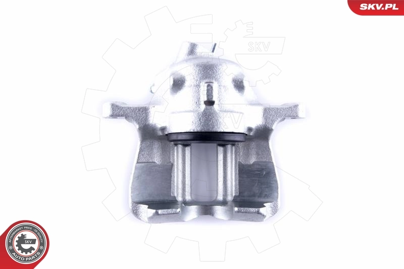 Brake Caliper 55SKV391
