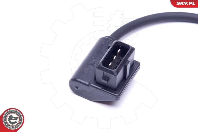 Sensor, camshaft position 17SKV491