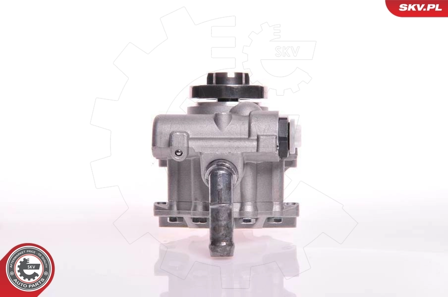 Hydraulic Pump, steering 10SKV166