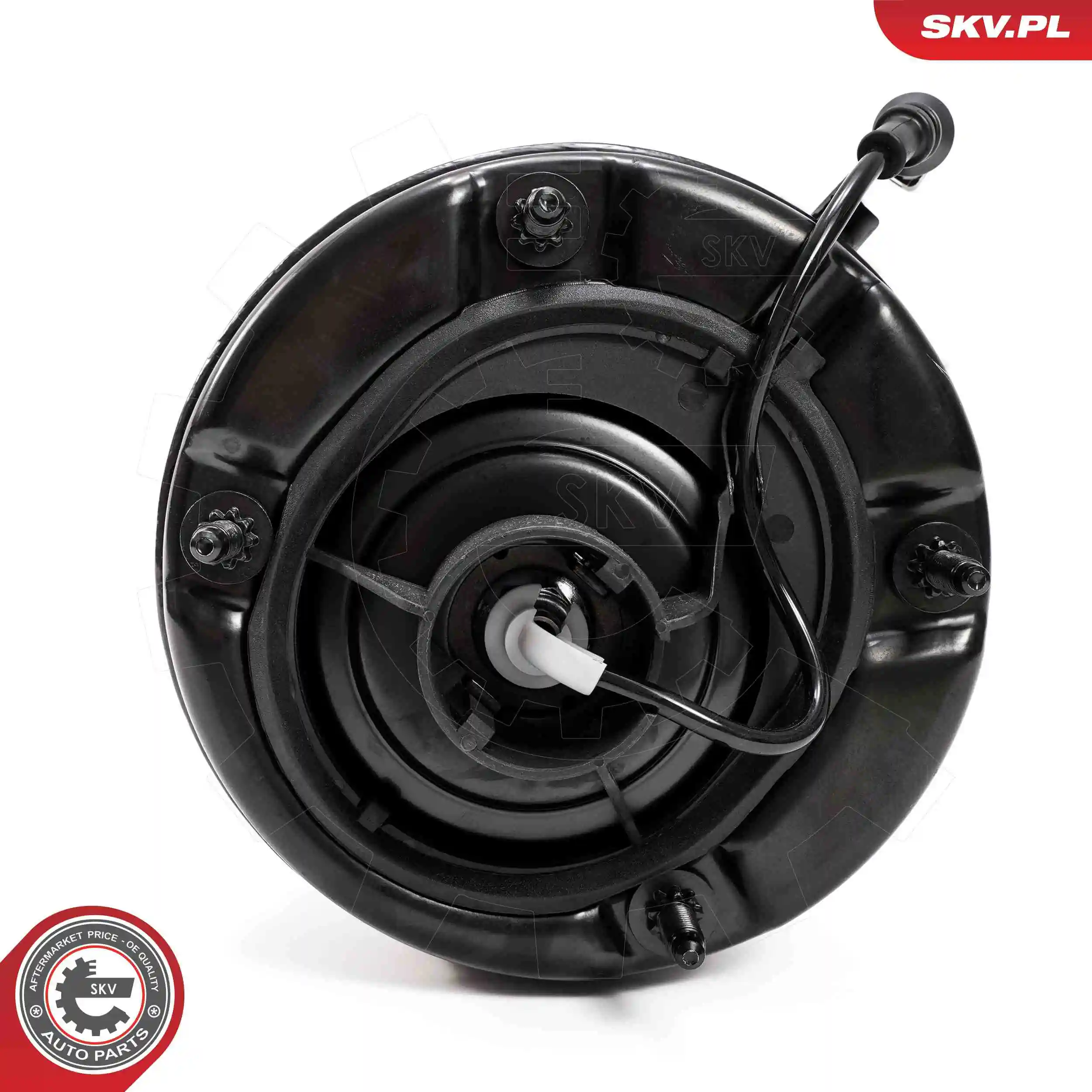 Air Suspension Strut 58SKV702