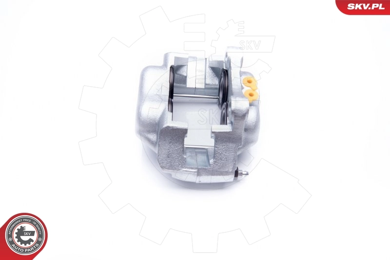 Brake Caliper 42SKV001