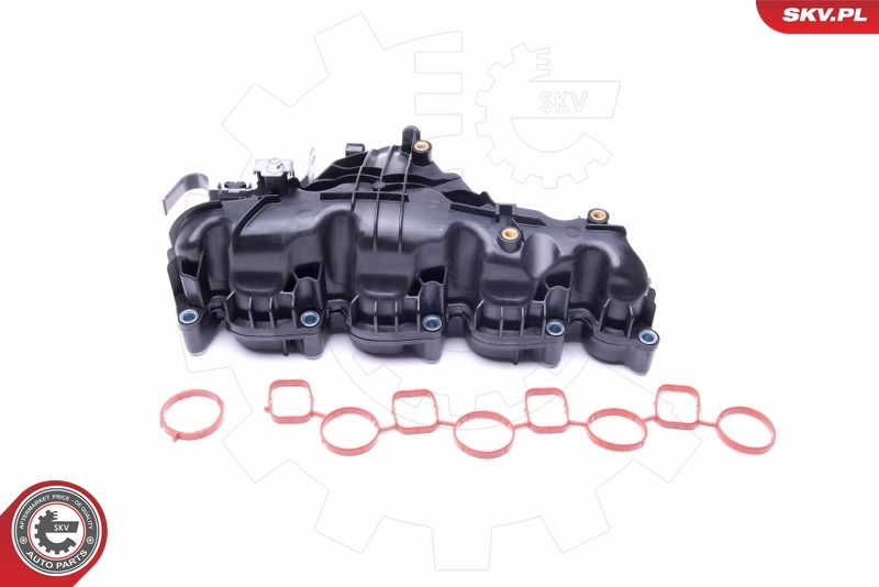 Intake Manifold Module 49SKV047