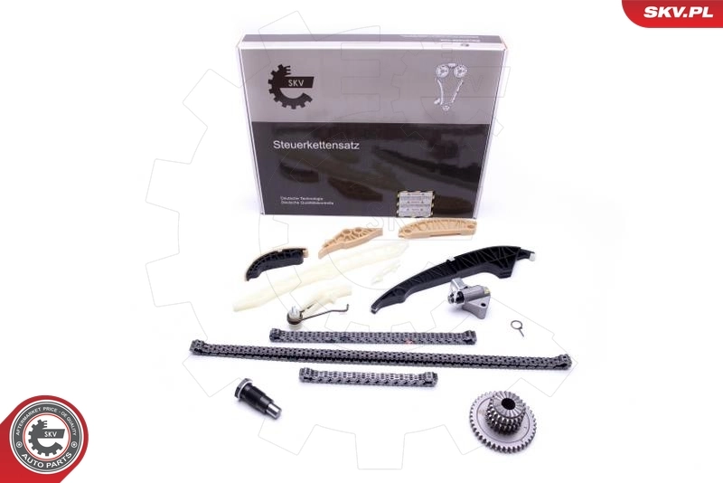 Timing Chain Kit 21SKV139