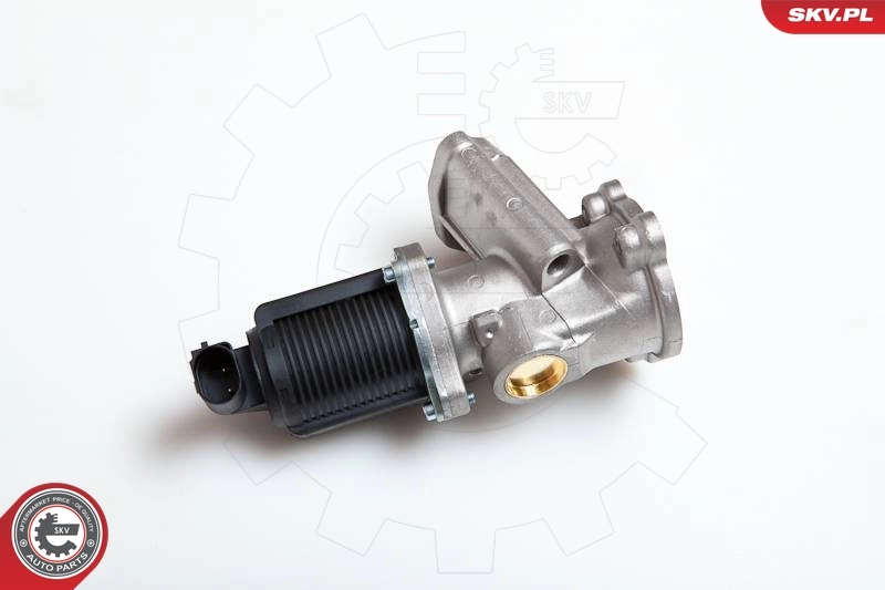 EGR Valve 14SKV014