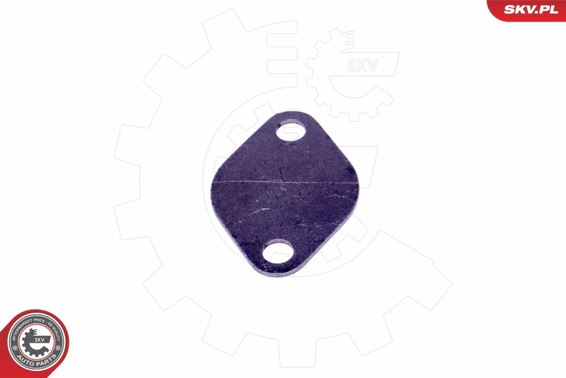 ESEN SKV 14SKV549 Repair Set, EGR valve