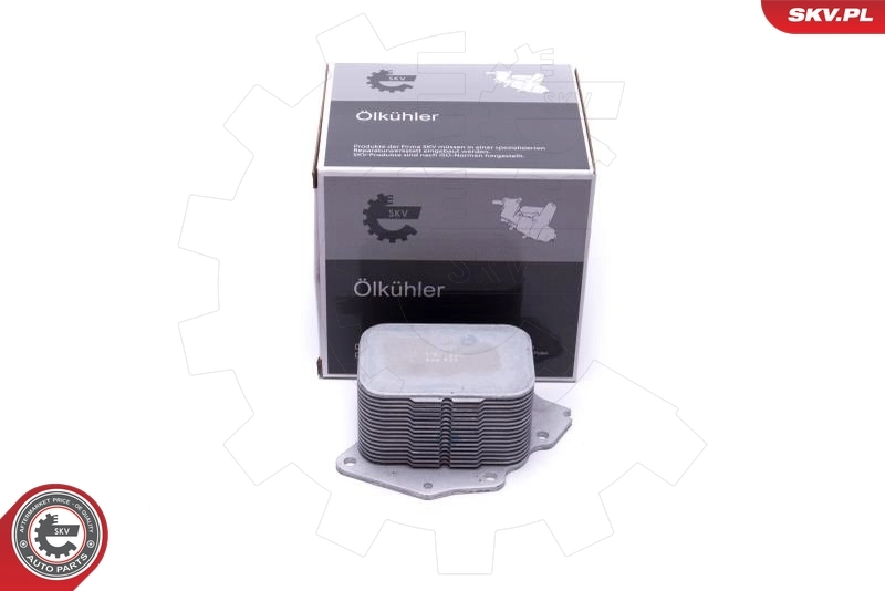 Oil Cooler, engine oil 31SKV230