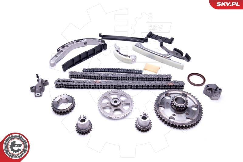 Timing Chain Kit 21SKV202