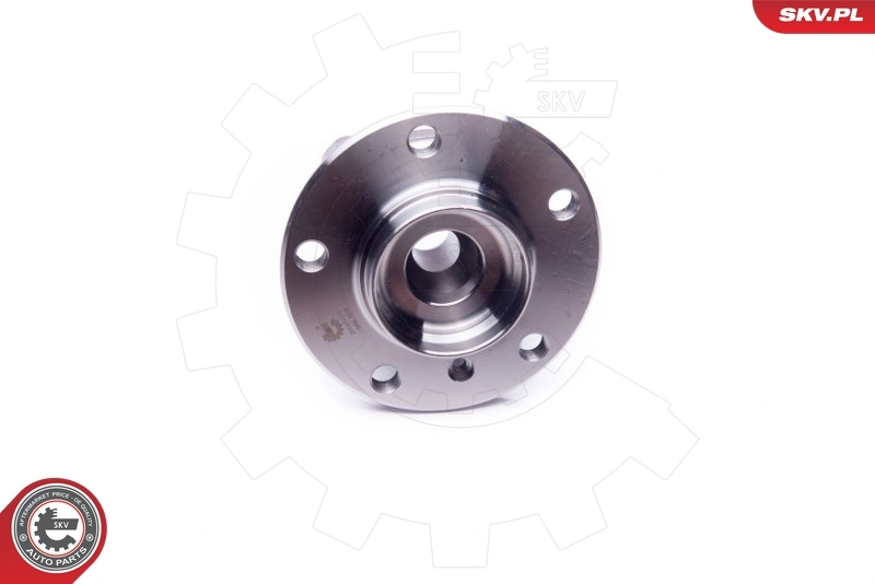Wheel Bearing Kit 29SKV173