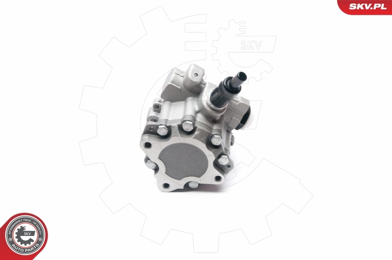 Hydraulic Pump, steering 10SKV233