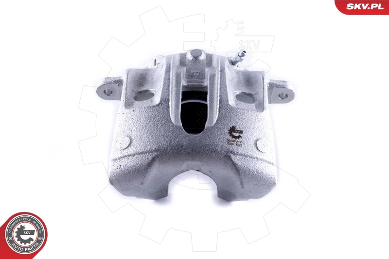 Brake Caliper 55SKV171