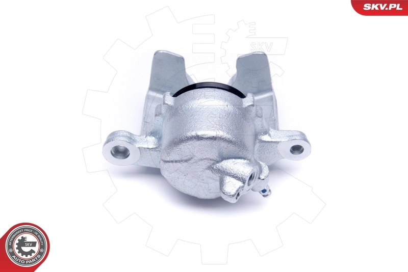 Brake Caliper 50SKV451