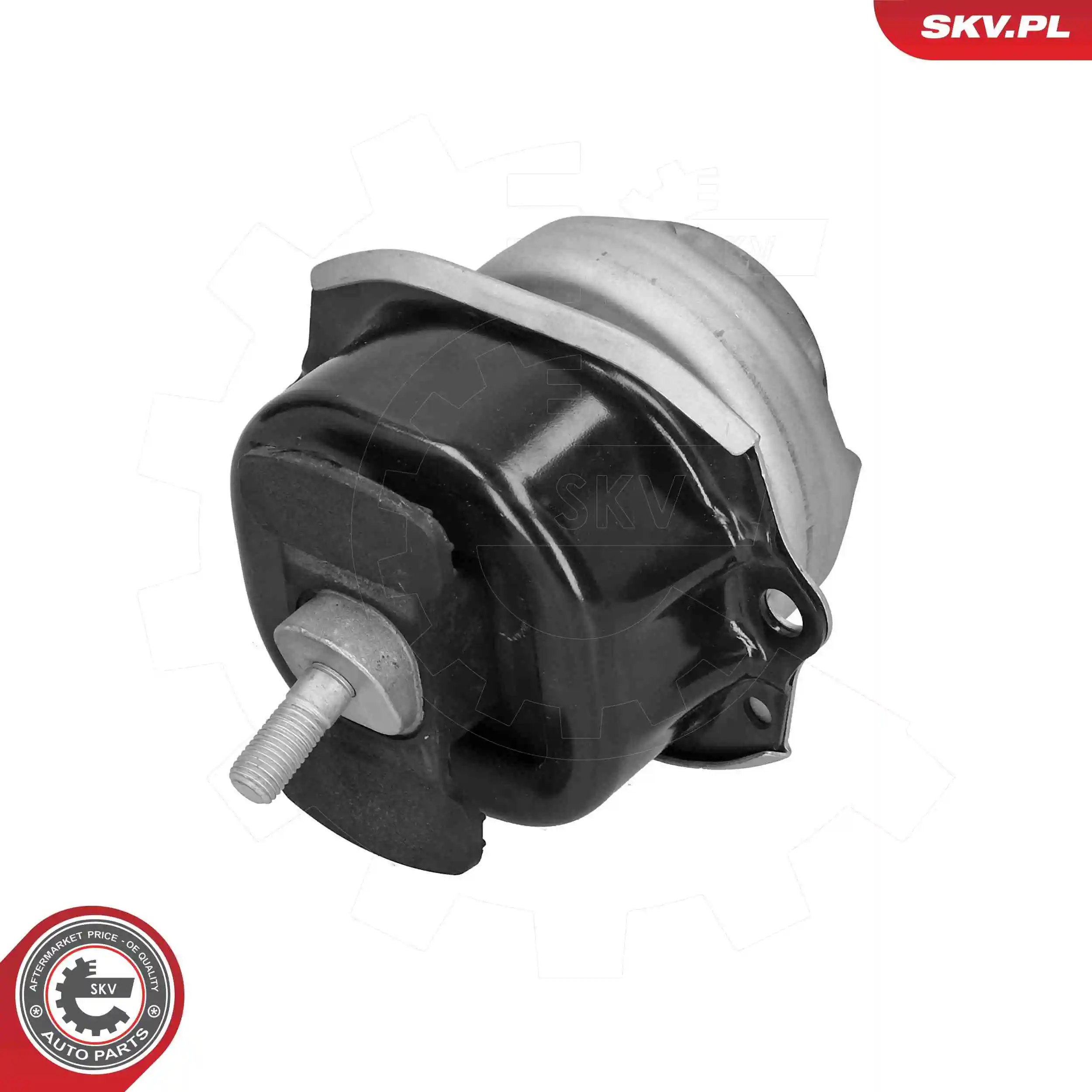 Mounting, engine 75SKV254