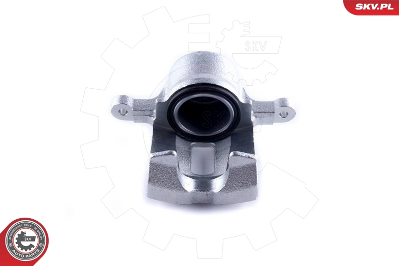 Brake Caliper 50SKV882