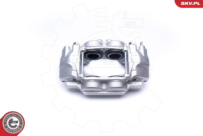 Brake Caliper 45SKV202