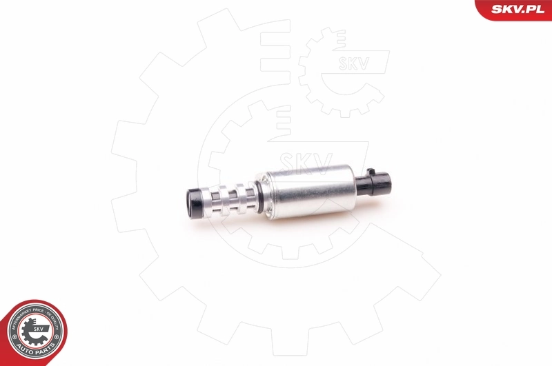 Control Valve, camshaft adjustment 39SKV008