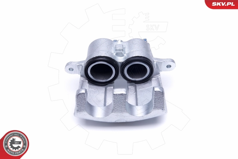 Brake Caliper 50SKV252