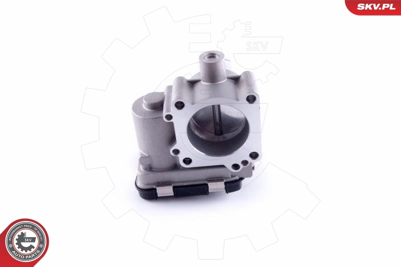Throttle Body 12SKV100