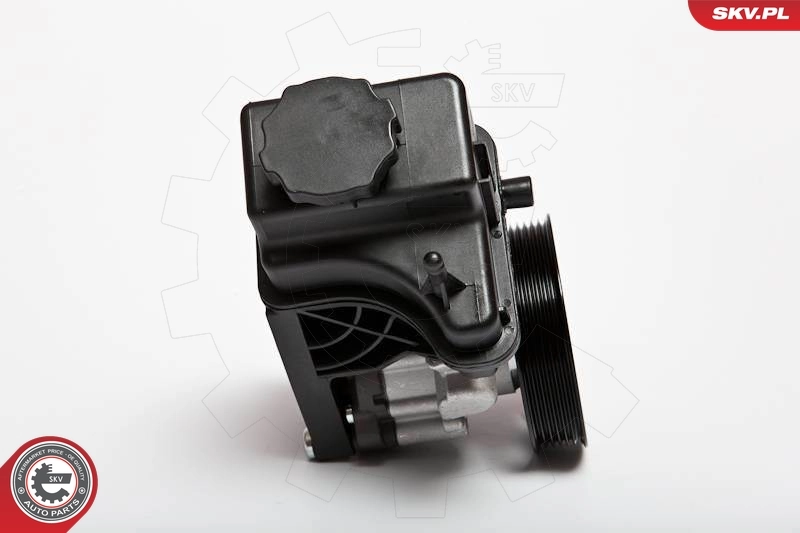 Hydraulic Pump, steering 10SKV107