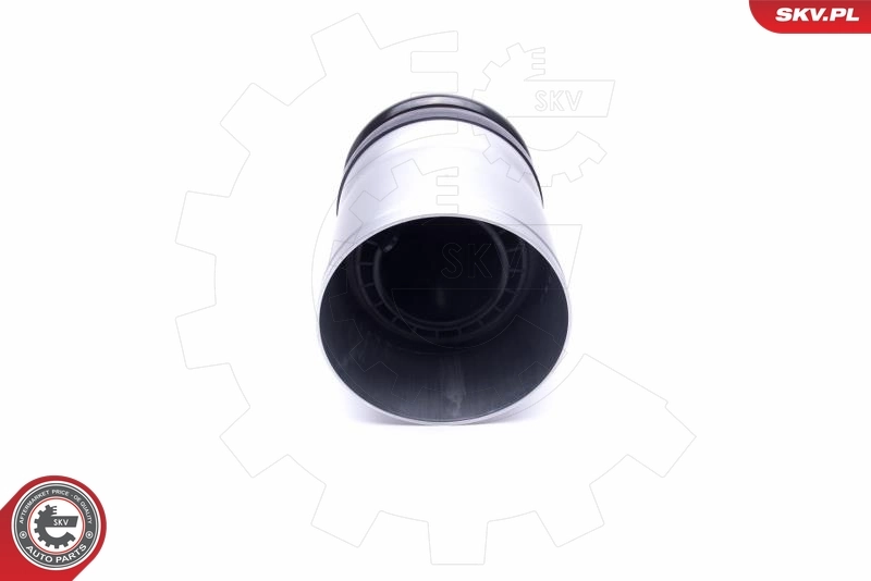 Air Suspension Strut 58SKV059
