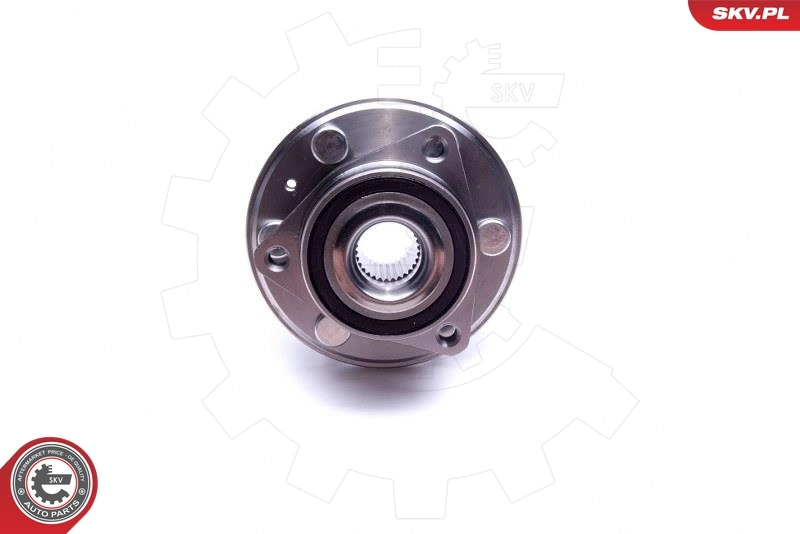 ESEN SKV 29SKV352 Wheel Bearing Kit