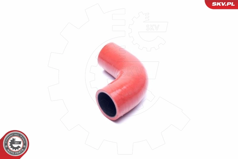Charge Air Hose 54SKV159