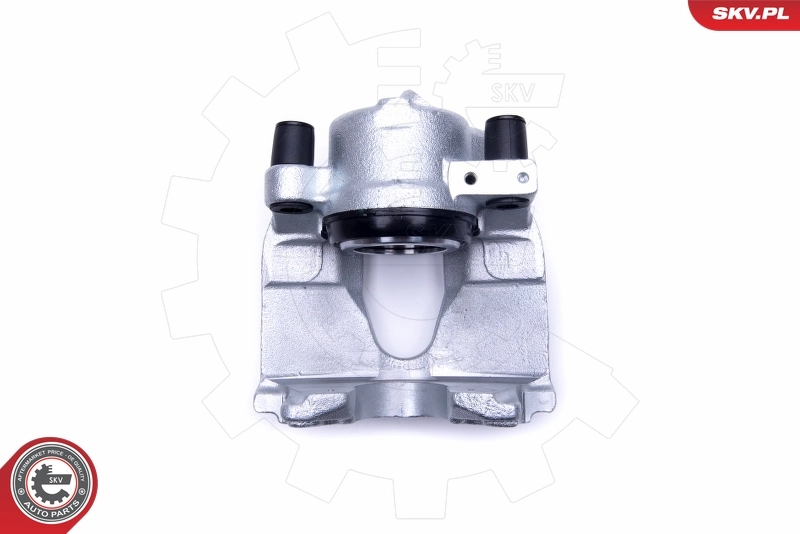 Brake Caliper 50SKV302
