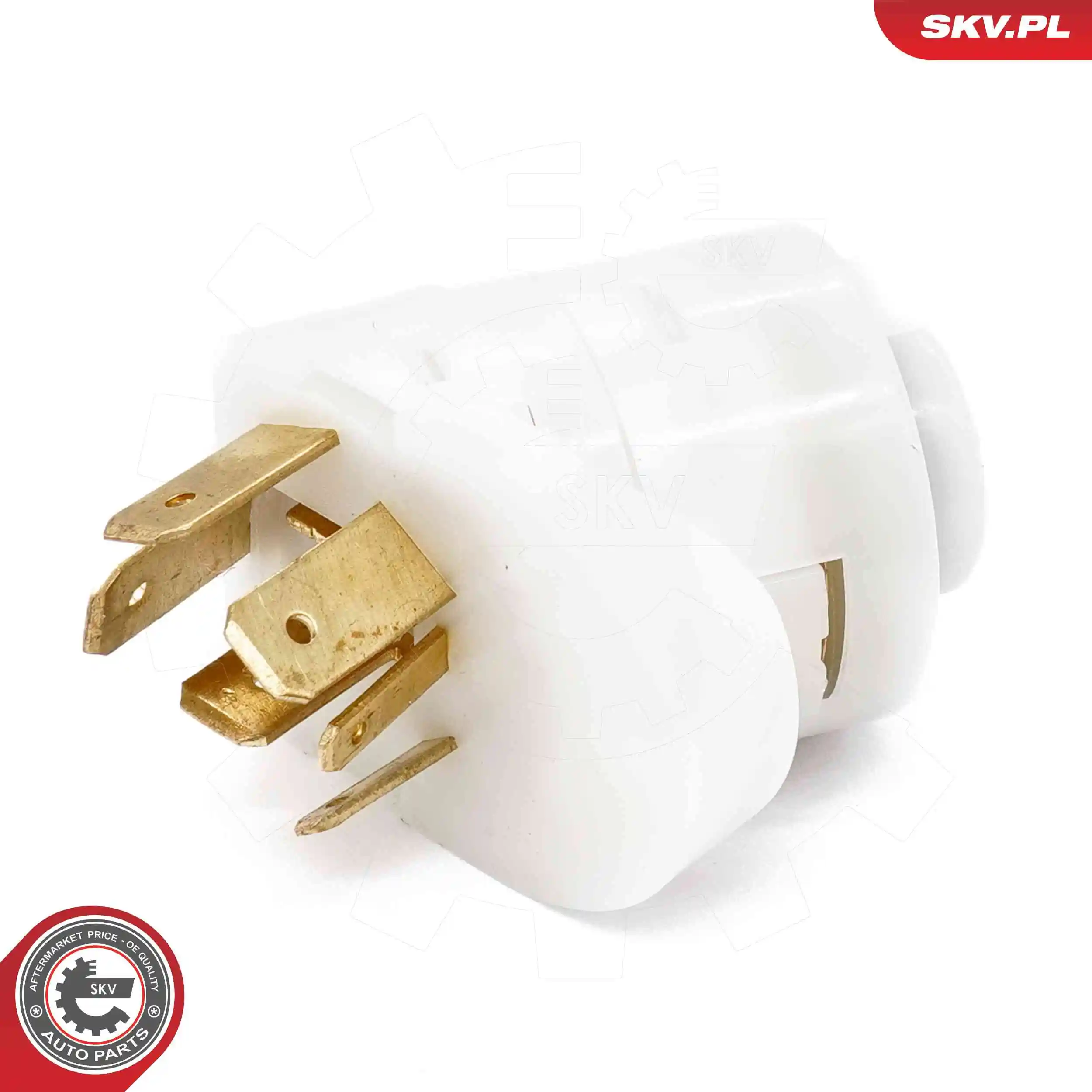 Ignition Switch 65SKV016