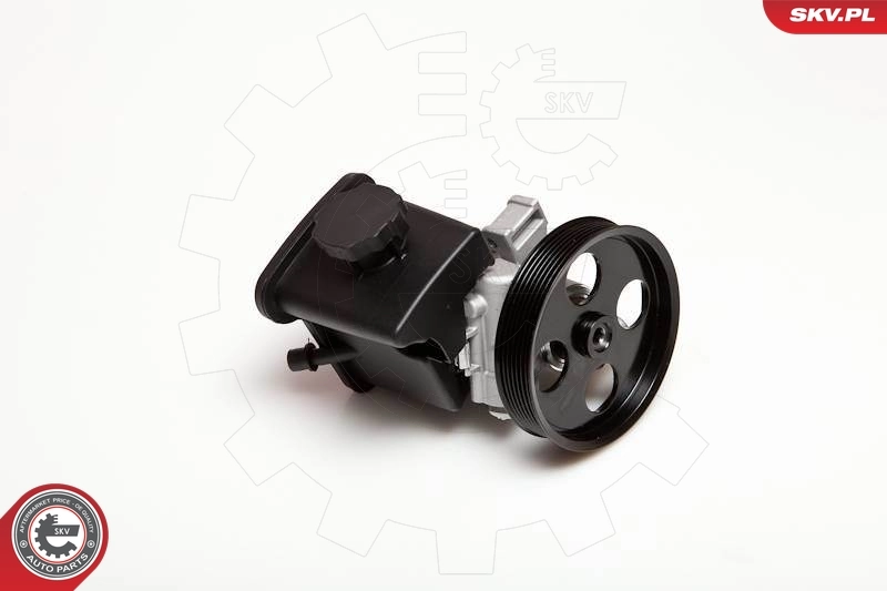 Hydraulic Pump, steering 10SKV029