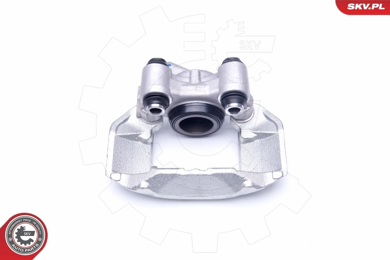 Brake Caliper 42SKV111