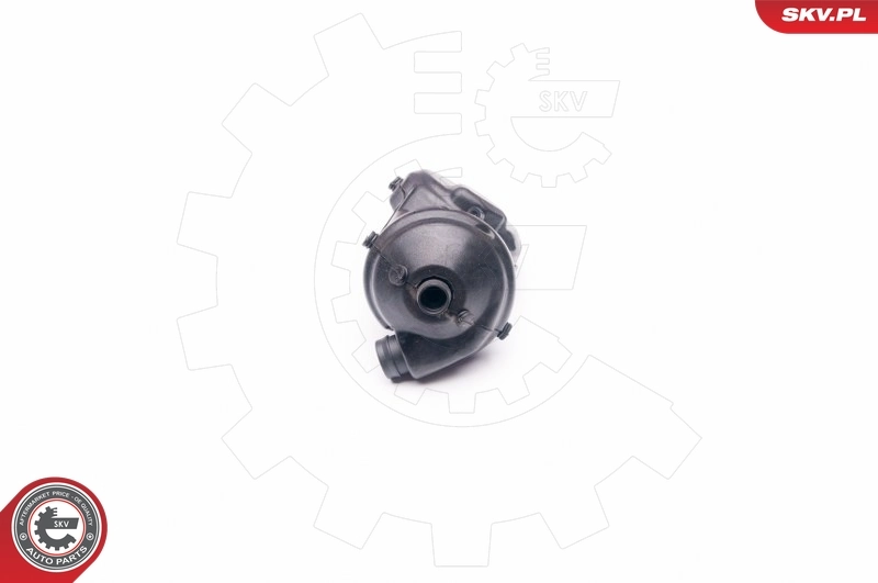 Repair Kit, crankcase ventilation 31SKV045