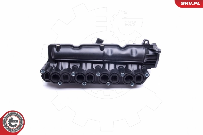 Intake Manifold Module 49SKV024