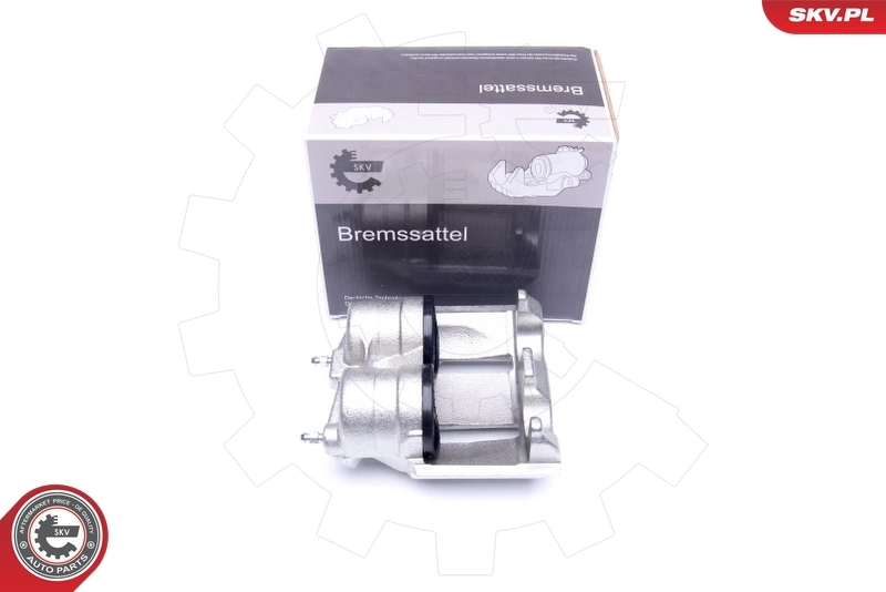 Brake Caliper 42SKV122
