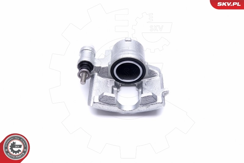 Brake Caliper 46SKV301