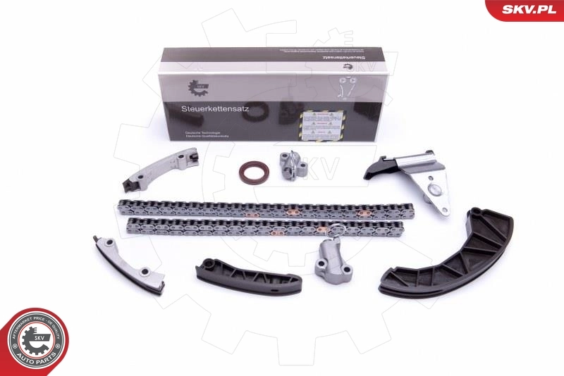 Timing Chain Kit 21SKV226