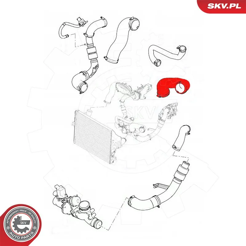 Charge Air Hose 54SKV089