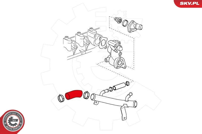 Radiator Hose 24SKV332