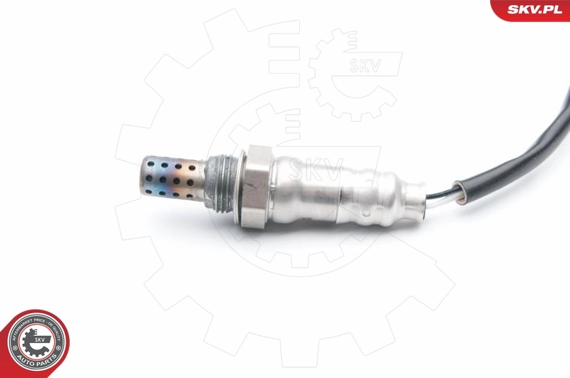 Oxygen Sensor 09SKV723