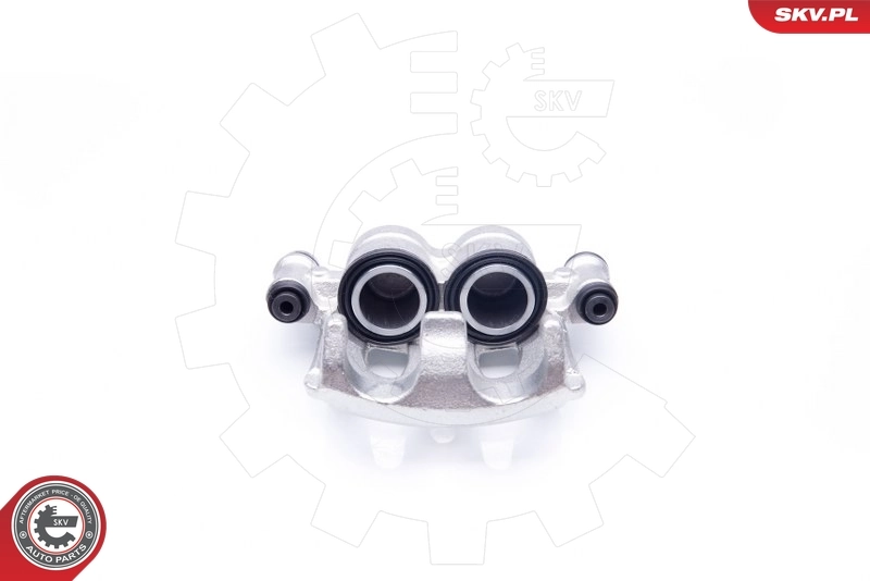 Brake Caliper 34SKV022