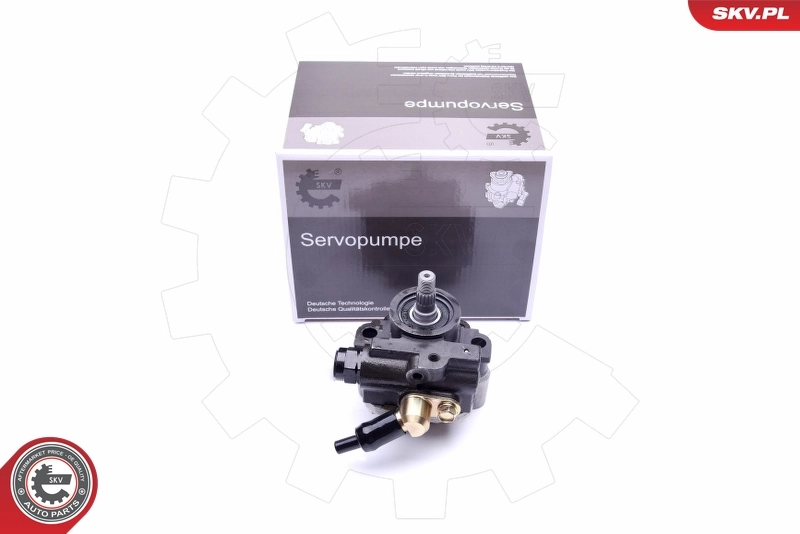 Hydraulic Pump, steering 10SKV267