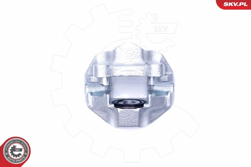 Brake Caliper 45SKV263