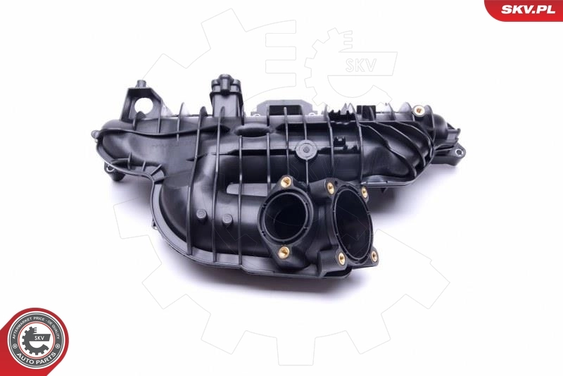 Intake Manifold Module 49SKV030