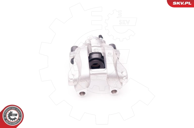 Brake Caliper 23SKV793