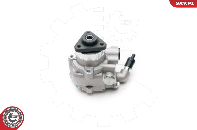 Hydraulic Pump, steering 10SKV194