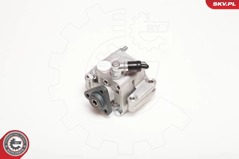 Hydraulic Pump, steering 10SKV088