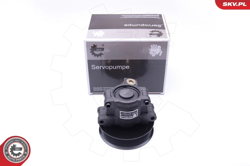 Hydraulic Pump, steering 10SKV101