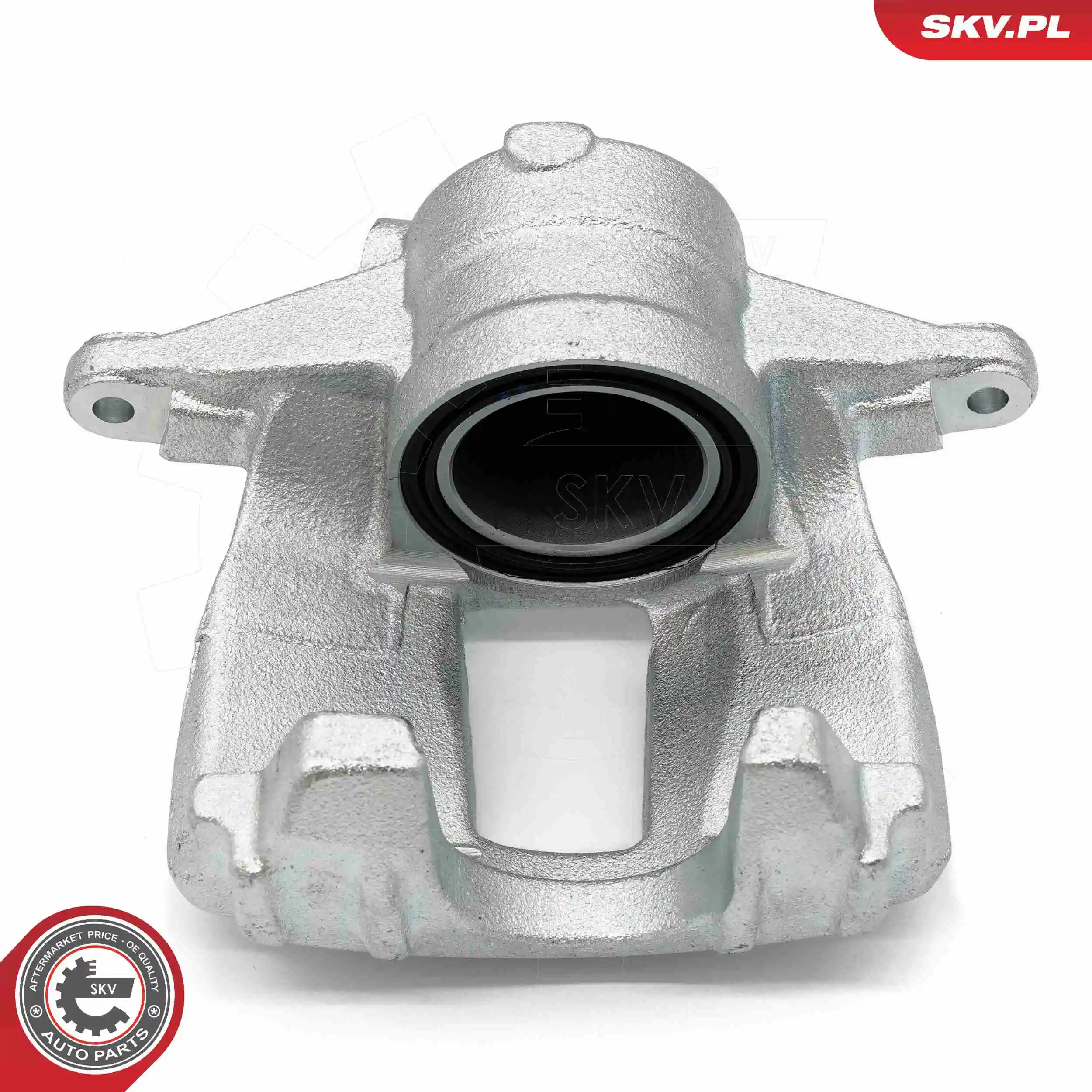 Brake Caliper 67SKV051